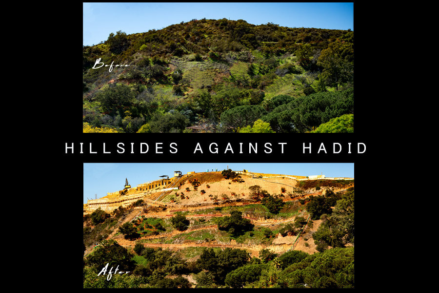 Hillsides Against Hadid Logo_Small.jpg